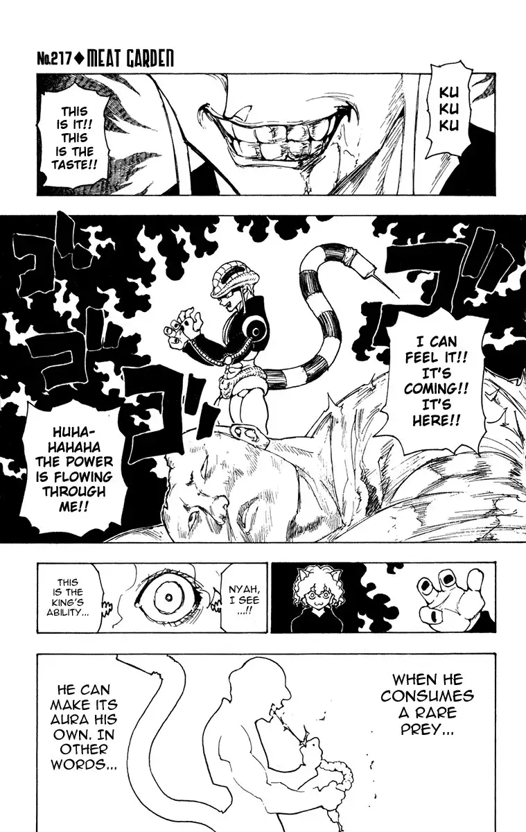 Hunter x Hunter Chapter 217 1